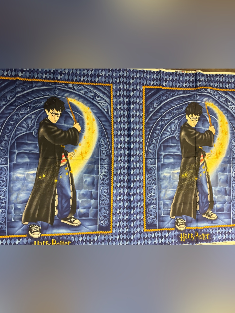 Harry Potter  Fabric Panel with Gold Trim